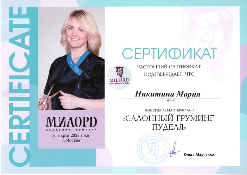 Интерьер 12