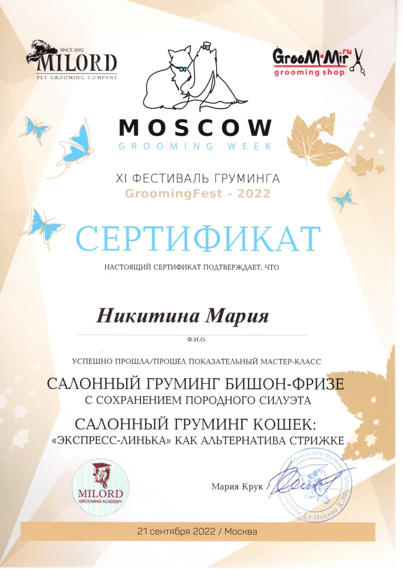 Интерьер 13