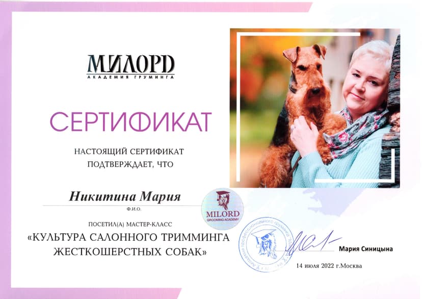 Интерьер 14